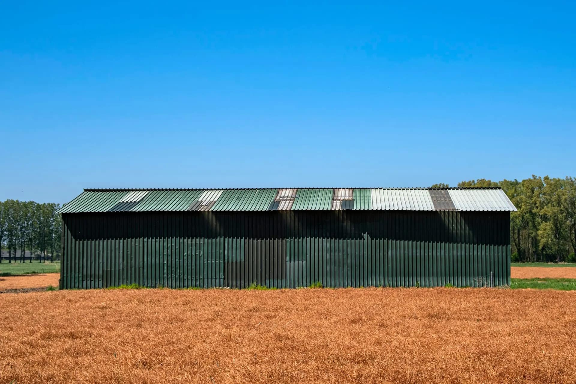 Steel-clad agricultural shed beside a field