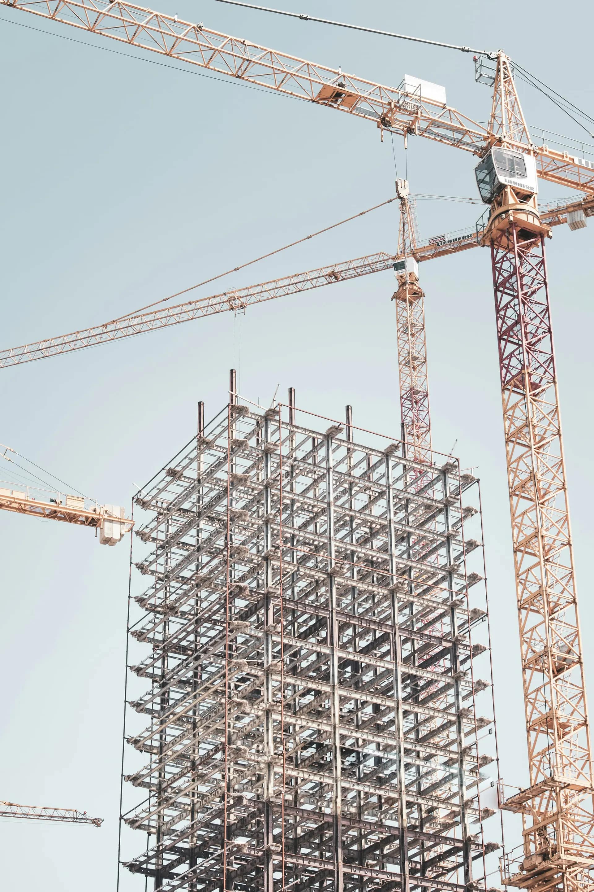 Steel building frame under construction with tower cranes
