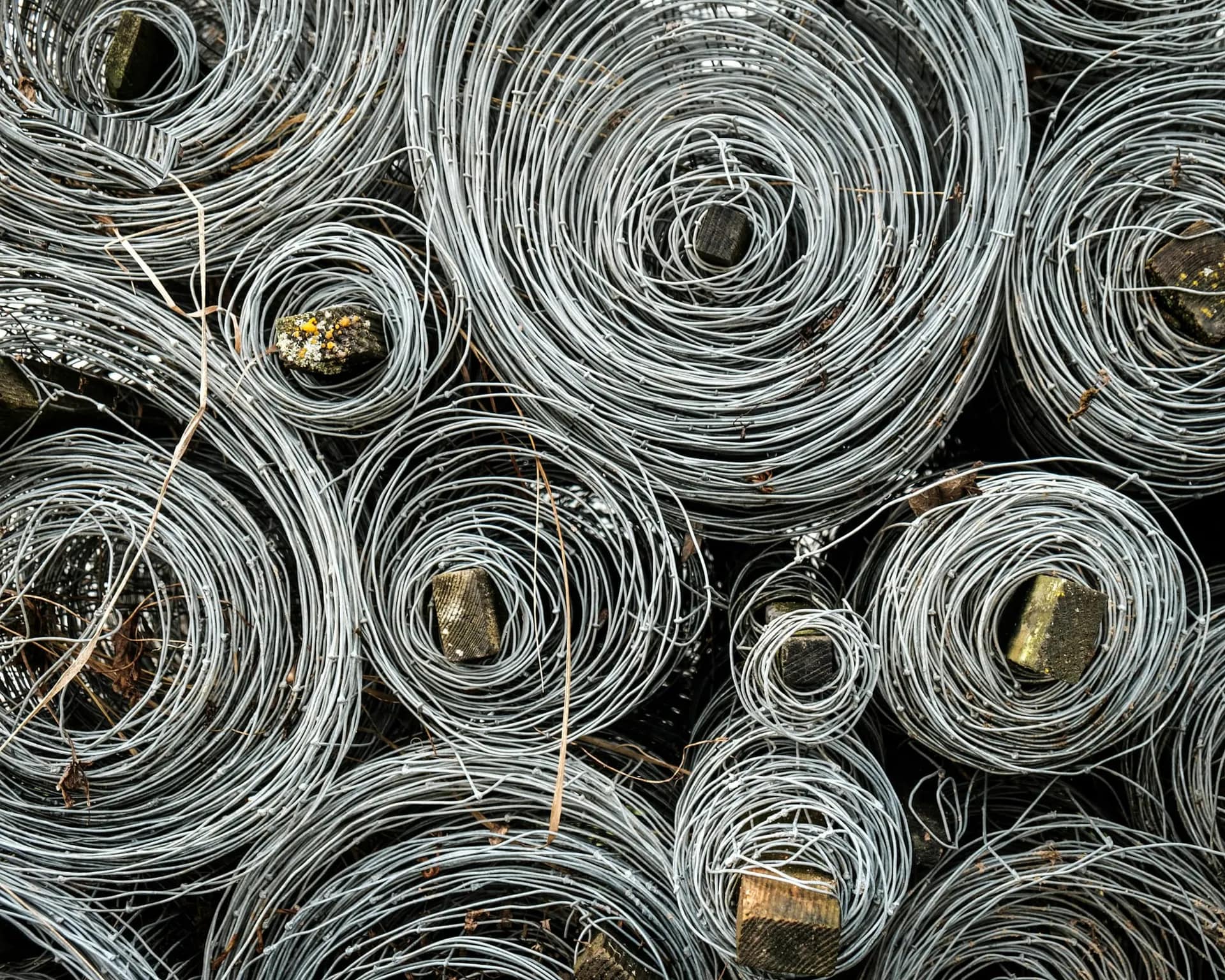 Coils of galvanised steel wire
